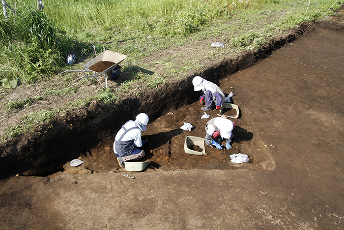 むつ市上野平遺跡7月30日1枚目竪穴建物跡調査状況