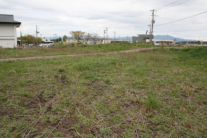 横浜町林ノ脇遺跡5月11日1枚目