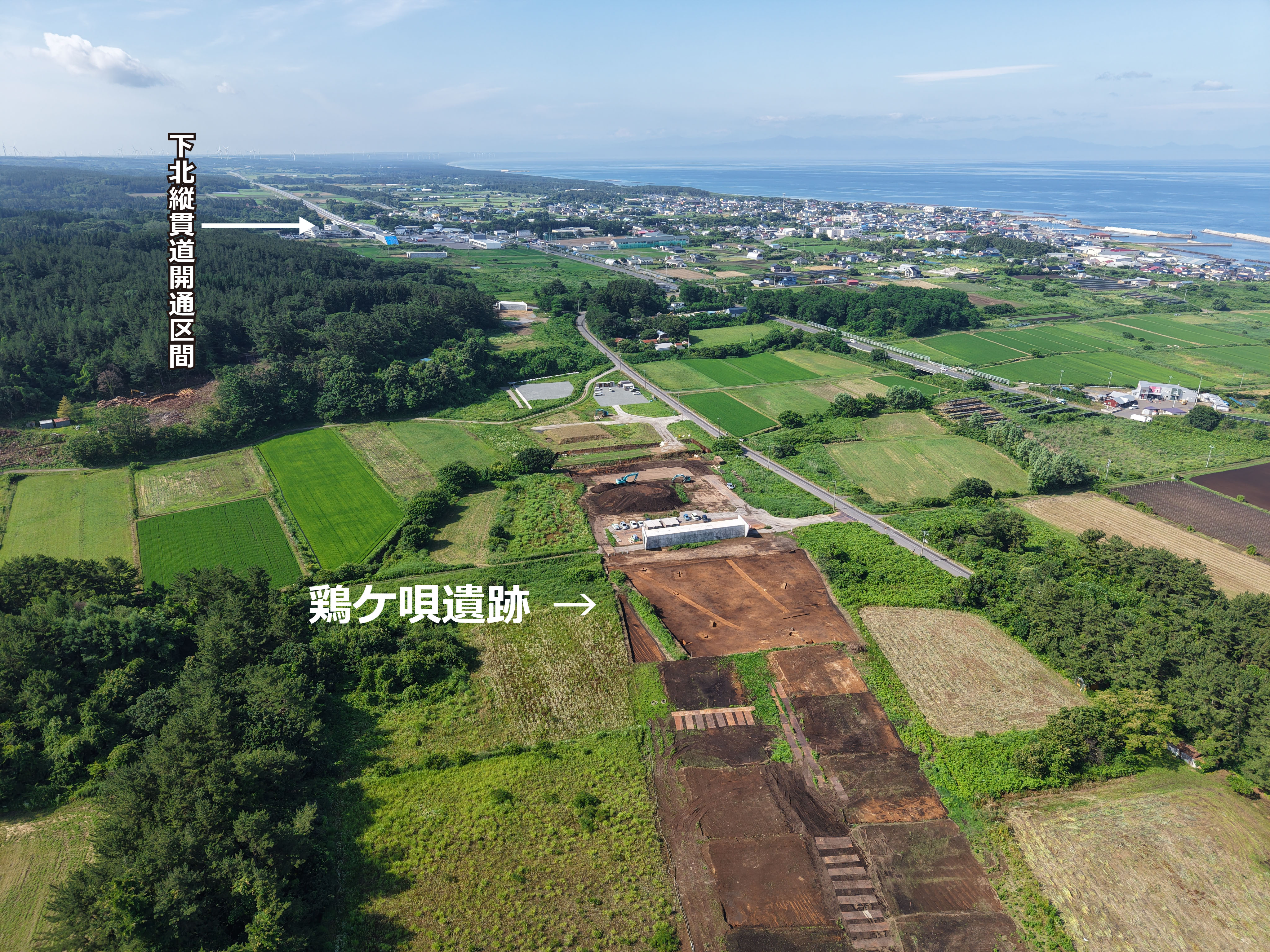 調査区を上空からみた写真