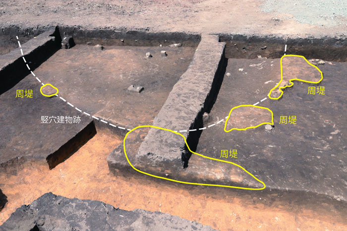 竪穴建物跡と周堤の検出状況（６月12日）
